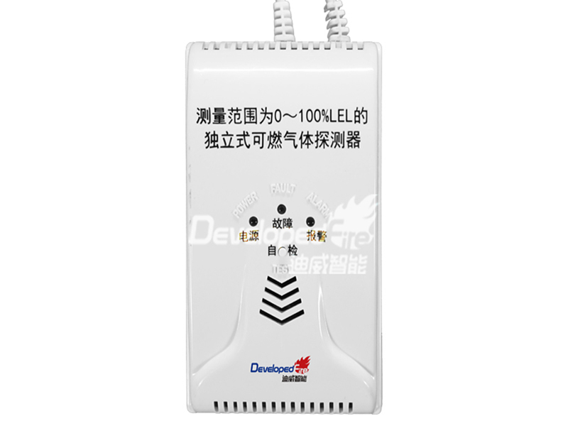 ����ʽ��ȼ����̽����